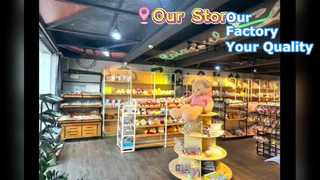 company introduction